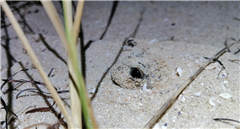 Vignette illustrant cette actualité