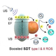 Vignette illustrant cette actualité