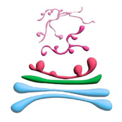 Vignette illustrant cette actualité