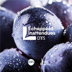 Vignette illustrant cette actualité