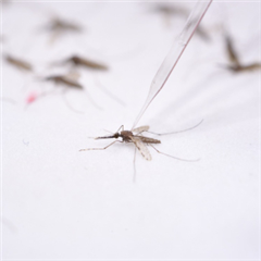 Vignette illustrant cette actualité