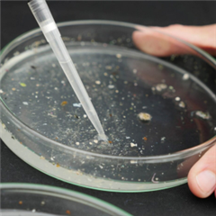 Vignette illustrant cette actualité