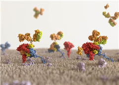 Vignette illustrant cette actualité