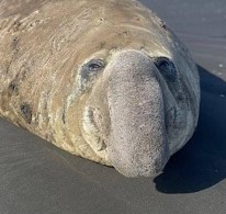 Vignette illustrant cette actualité