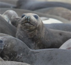 Vignette illustrant cette actualité