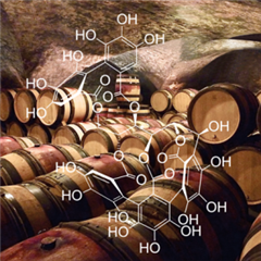 Vignette illustrant cette actualité