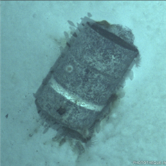 Vignette illustrant cette actualité