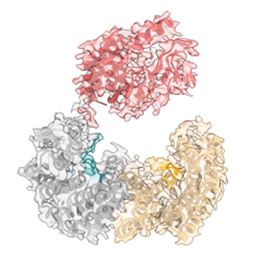 Vignette illustrant cette actualité