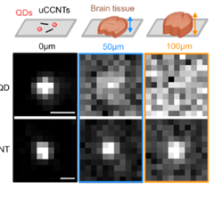 Vignette illustrant cette actualité