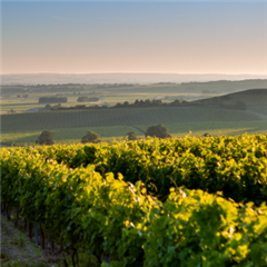 Vignette illustrant cette actualité