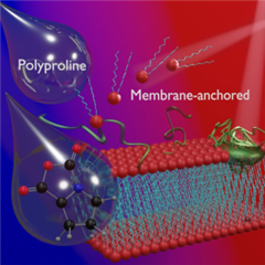 Vignette illustrant cette actualité