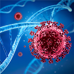 Vignette illustrant cette actualité