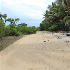 Vignette illustrant cette actualité