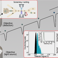 Vignette illustrant cette actualité