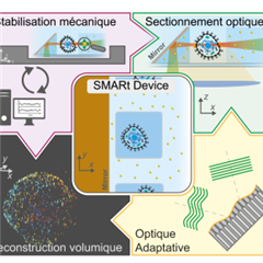 Vignette illustrant cette actualité