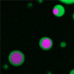 Vignette illustrant cette actualité