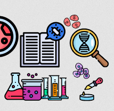 Vignette illustrant cette actualité