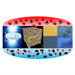 Vignette illustrant cette actualité