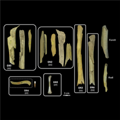 Vignette illustrant cette actualité