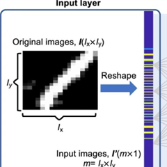 Image illustrant cette actualité