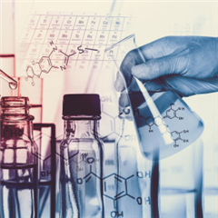 Image illustrant cette actualité