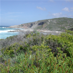 Image illustrant cette actualité