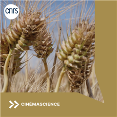 Image illustrant cette actualité