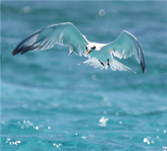 Image illustrant cette actualité