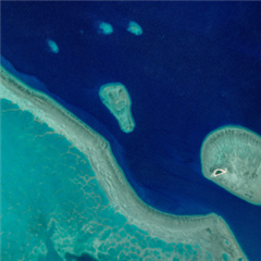 Vignette illustrant cette actualité