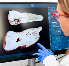 Image illustrant cette actualité