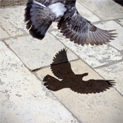 Vignette illustrant cette actualité