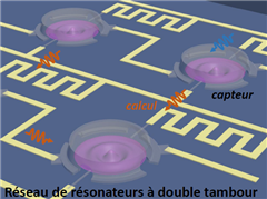 Image illustrant cette actualité