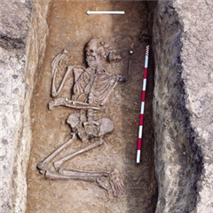 Vignette illustrant cette actualité