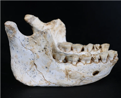 Vignette illustrant cette actualité