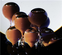 Vignette illustrant cette actualité