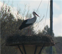 Image illustrant cette actualité