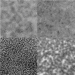 Image illustrant cette actualité