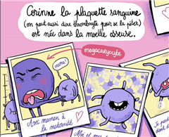 Image illustrant cette actualité