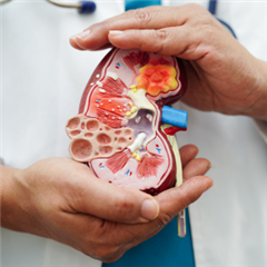 Vignette illustrant cette actualité