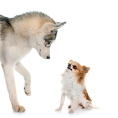 Vignette illustrant cette actualité