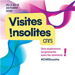 Vignette illustrant cette actualité