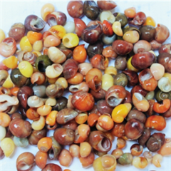 Vignette illustrant cette actualité