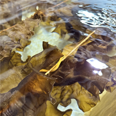 Vignette illustrant cette actualité