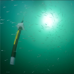 Vignette illustrant cette actualité