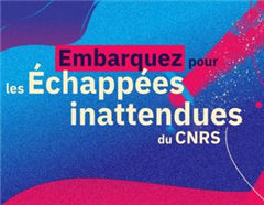 Image illustrant cette actualité