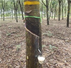 Vignette illustrant cette actualité