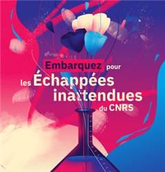 Vignette illustrant cette actualité