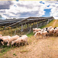 Vignette illustrant cette actualité