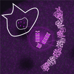 Vignette illustrant cette actualité