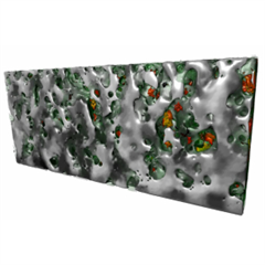 Vignette illustrant cette actualité